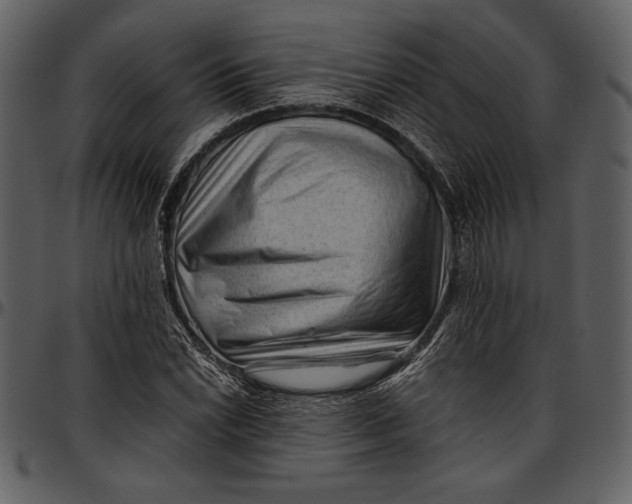 X0000096941022200802291027