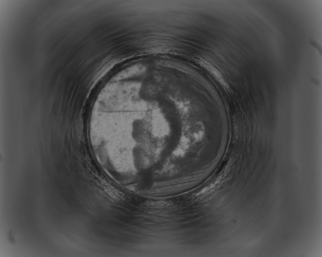 X0000096941023200802291027