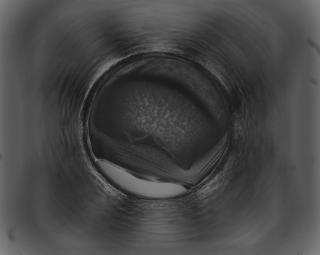 X0000096941024200802291027