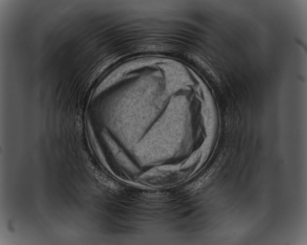 X0000096941025200802291027