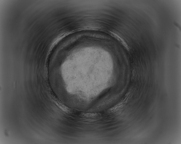 X0000096941027200802291027