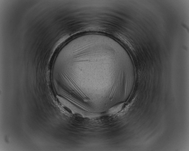 X0000096941029200802291028