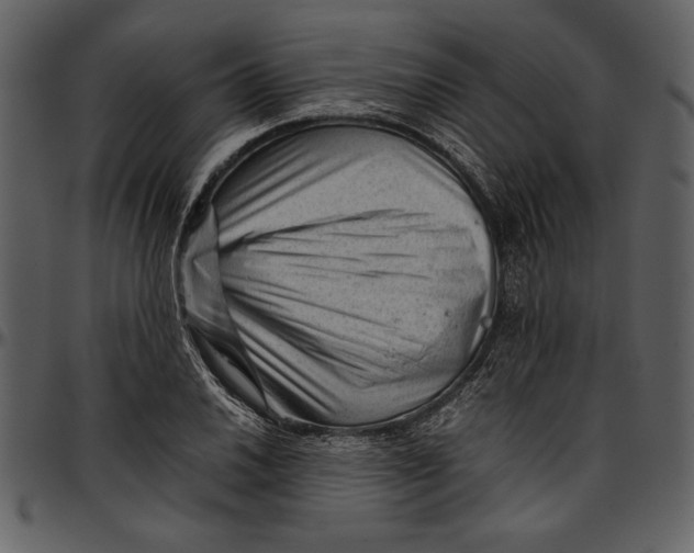 X0000096941030200802291028