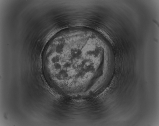 X0000096941031200802291028