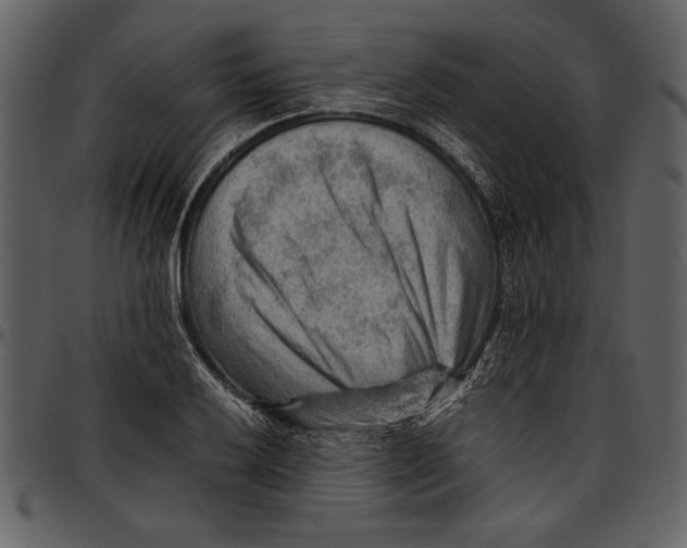 X0000096941032200802291028