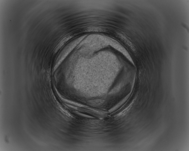 X0000096941033200802291028