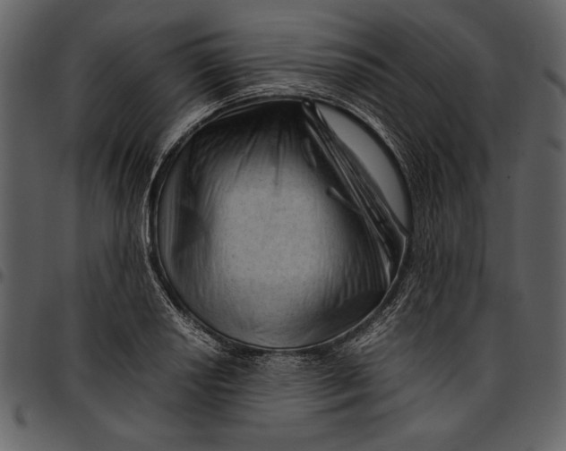 X0000096941034200802291028