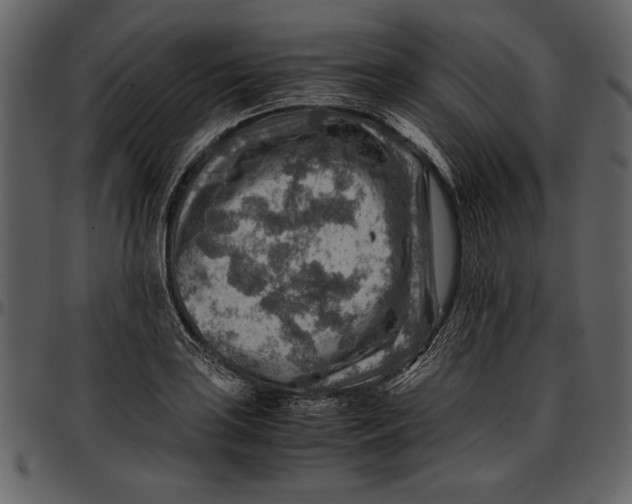 X0000096941035200802291028