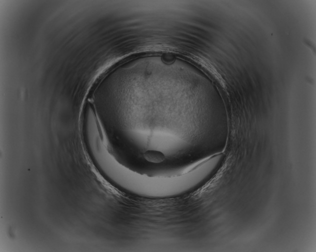 X0000096941037200802291028