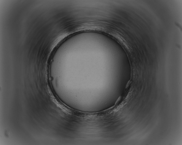 X0000096941038200802291028