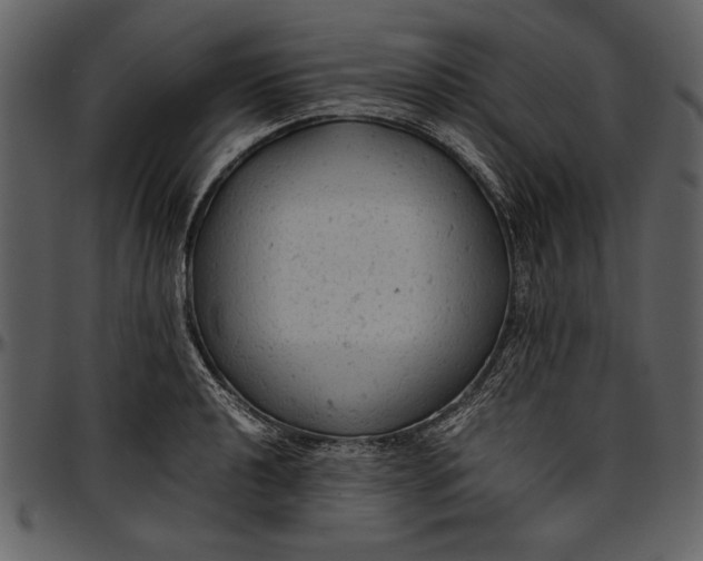 X0000096941040200802291028