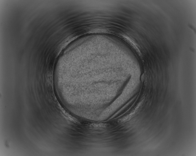 X0000096941041200802291028