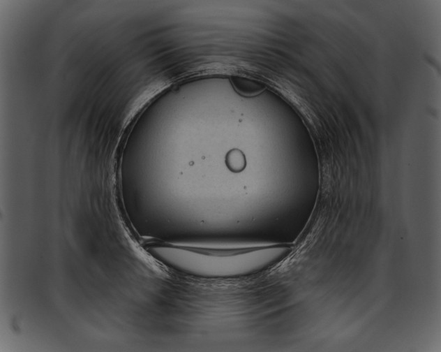 X0000096941042200802291028