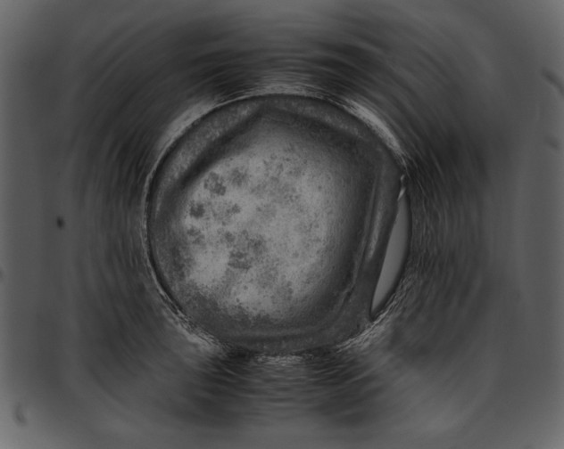 X0000096941043200802291028