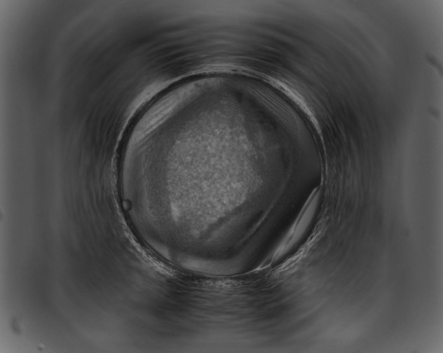 X0000096941045200802291028