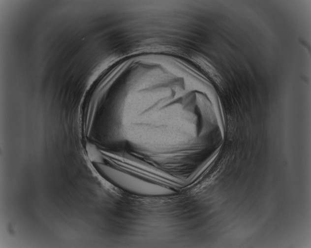 X0000096941046200802291028