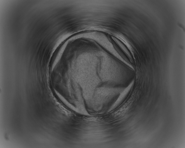 X0000096941048200802291028