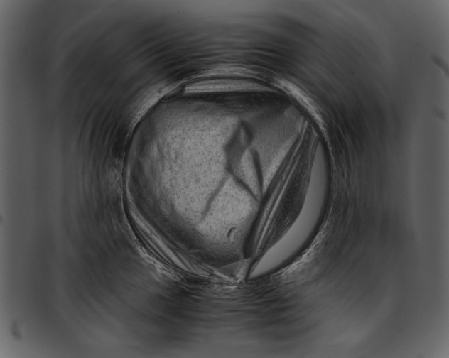 X0000096941049200802291028