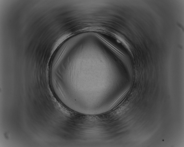 X0000096941050200802291028