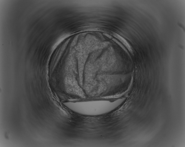 X0000096941051200802291028