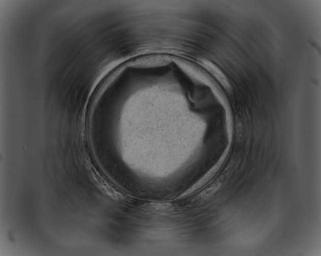 X0000096941052200802291028