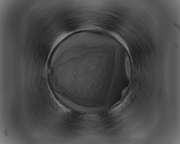 X0000096941053200802291028