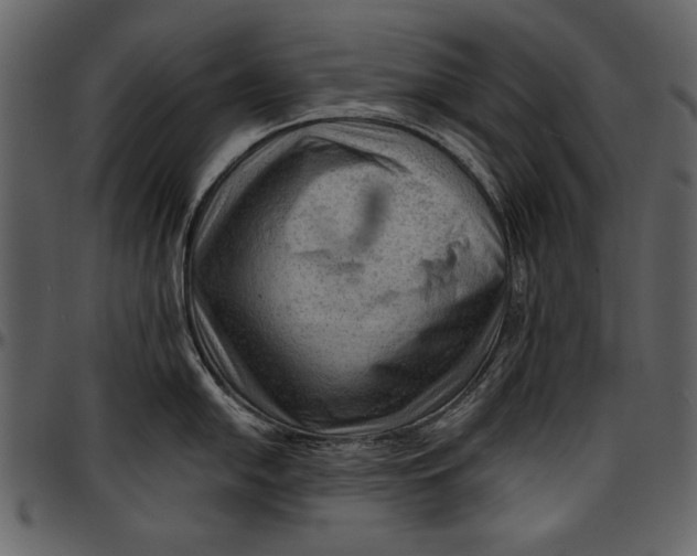 X0000096941054200802291028