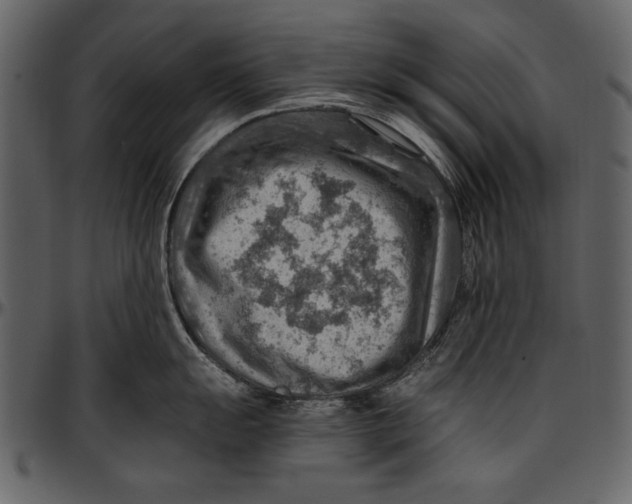 X0000096941055200802291028