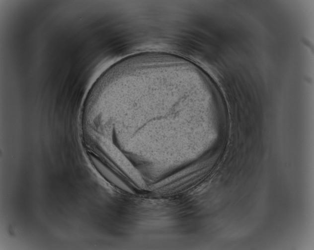 X0000096941056200802291028