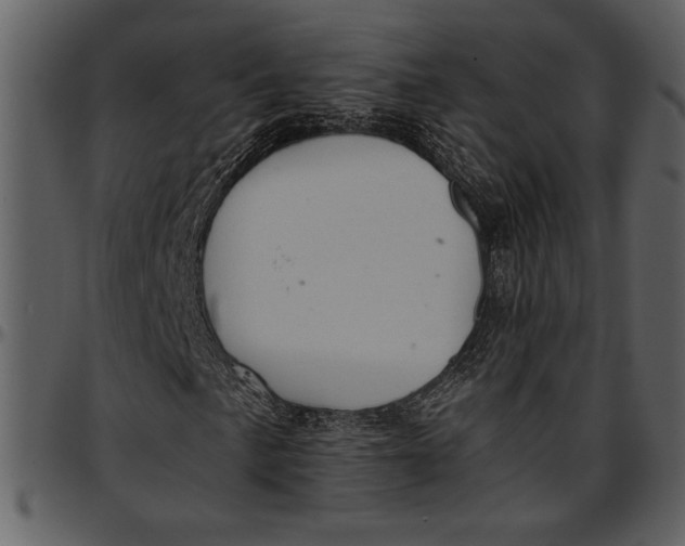 X0000096941057200802291027