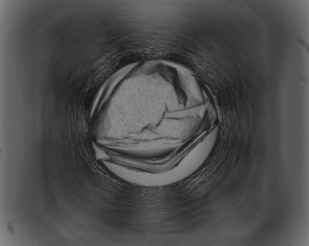 X0000096941058200802291027