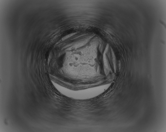 X0000096941059200802291027