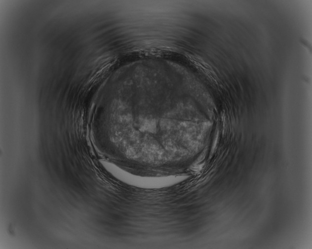 X0000096941060200802291027