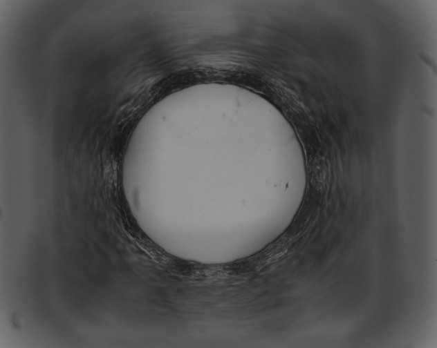 X0000096941061200802291027