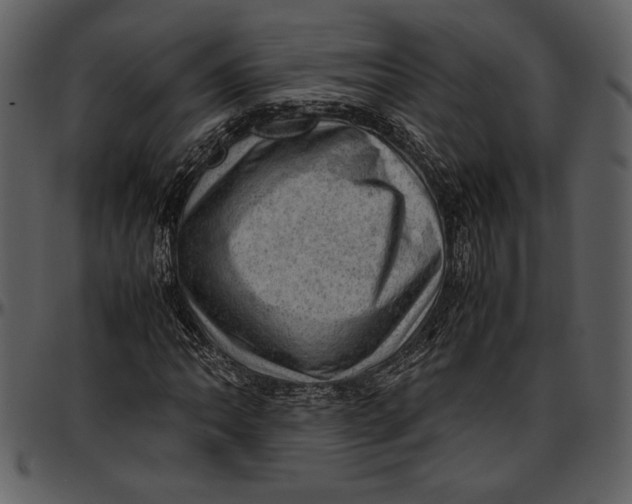 X0000096941062200802291027