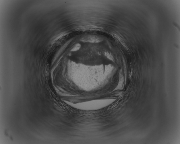 X0000096941063200802291027