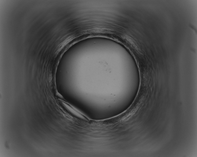 X0000096941065200802291027