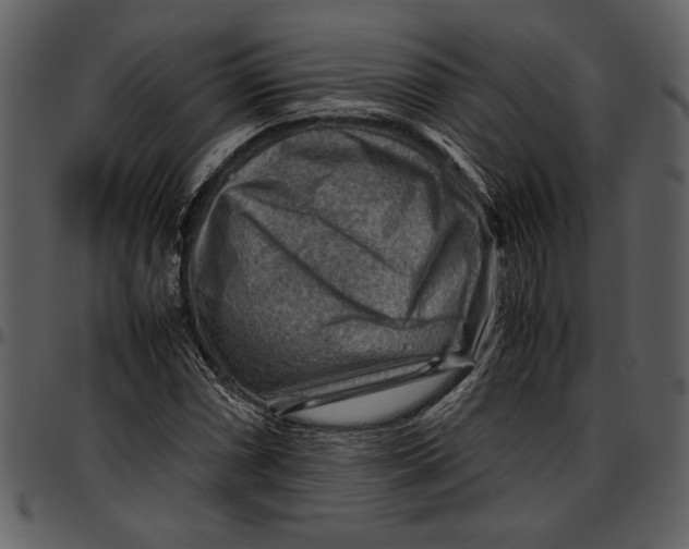 X0000096941066200802291027