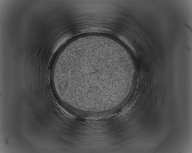 X0000096941067200802291027