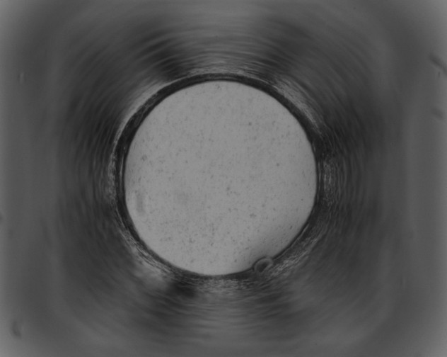 X0000096941068200802291027