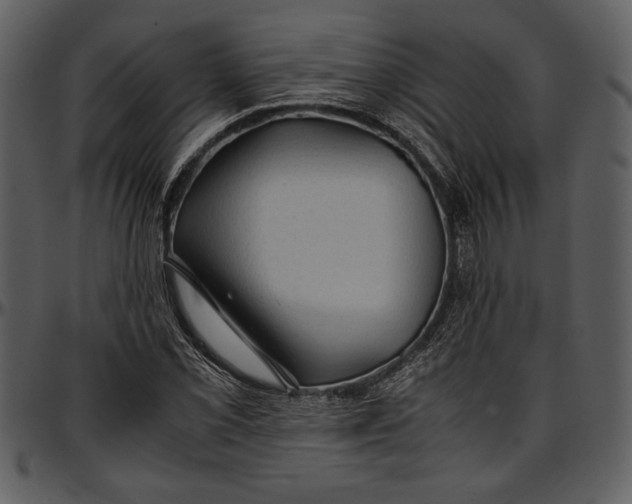 X0000096941069200802291027