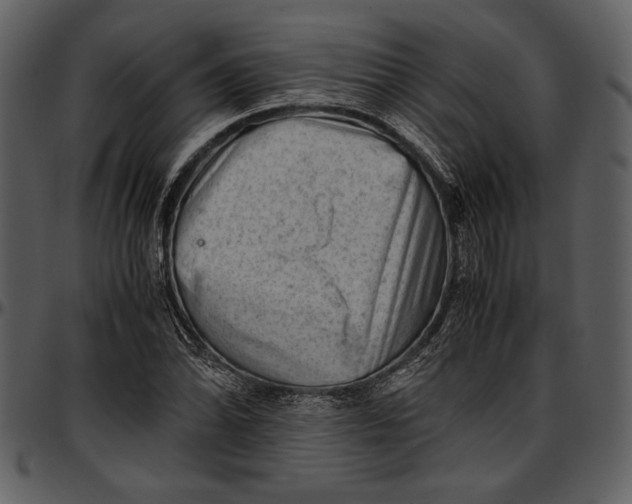 X0000096941070200802291027