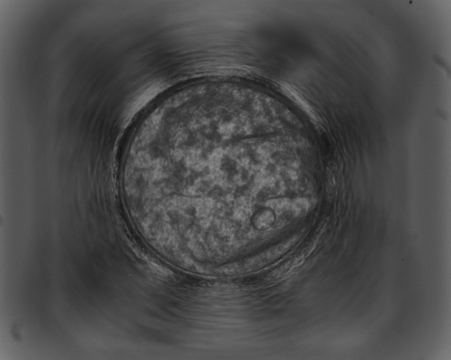 X0000096941071200802291027