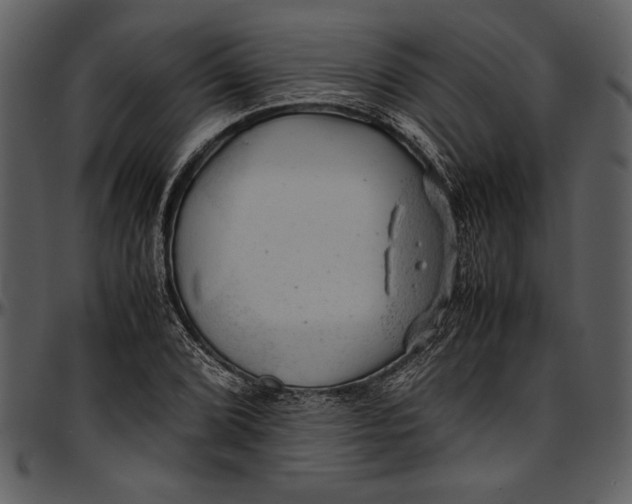 X0000096941072200802291027