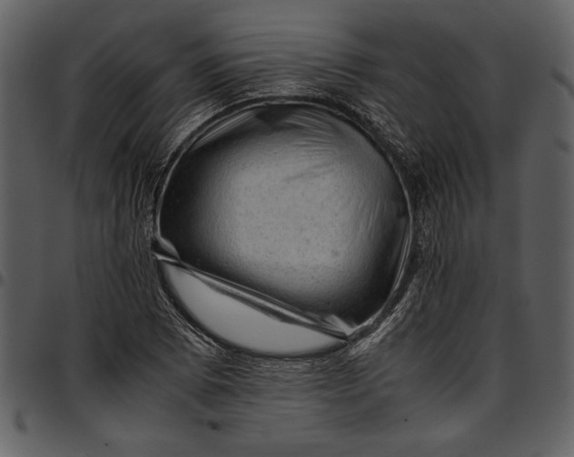 X0000096941073200802291027