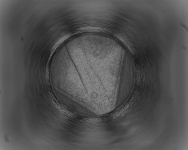 X0000096941074200802291027