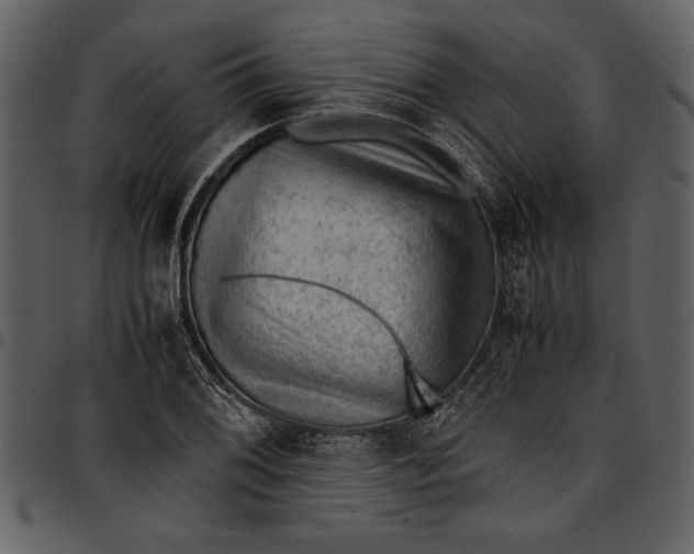 X0000096941076200802291027