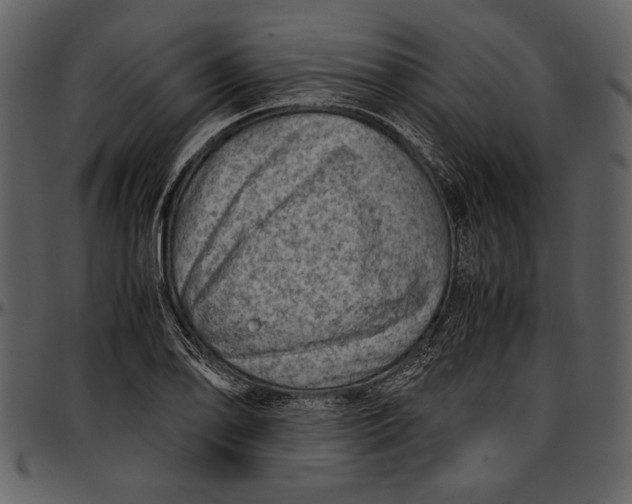 X0000096941078200802291027