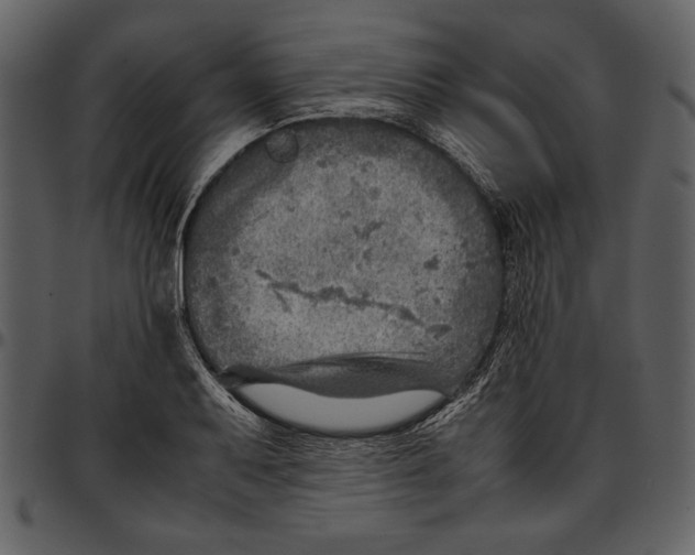 X0000096941079200802291027