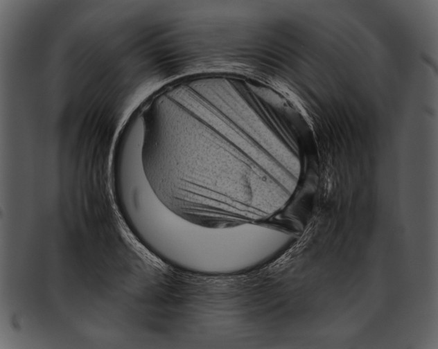 X0000096941080200802291027